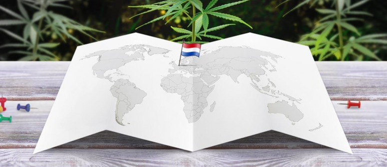 Der rechtliche Status von Marihuana in den Niederlanden
