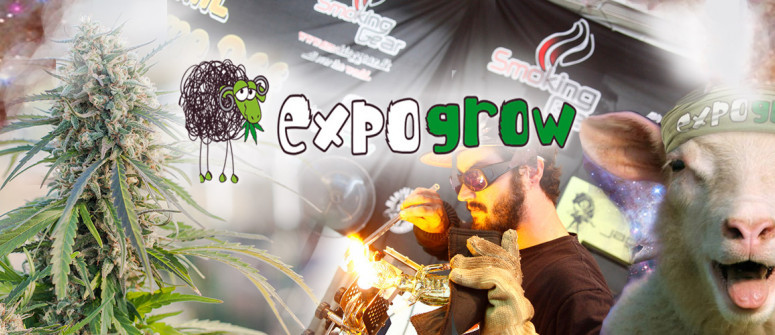 ExpoGrow - Eine geile Veranstaltung für alle Cannabisliebhaber