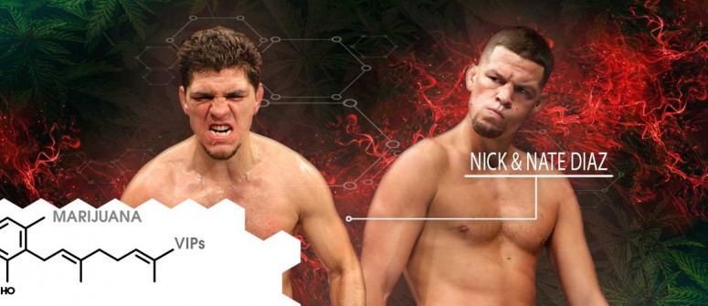 Marihuana-VIP: Nick und Nate Diaz