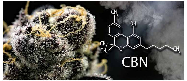 Was ist CBN (Cannabinol)?