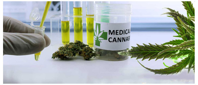 10 Möglichkeiten, wie Cannabis bei Krebs helfen kann 10 Möglichkeiten, wie Cannabis bei Krebs helfen kann