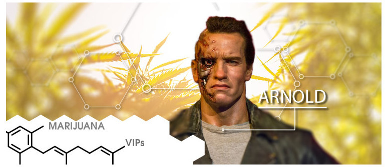 Marihuana-VIP: Arnold Schwarzenegger