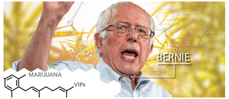 Marihuana-VIP: Bernie Sanders