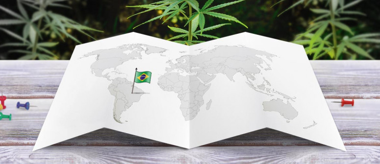 Der rechtliche Status von Cannabis in Brasilien