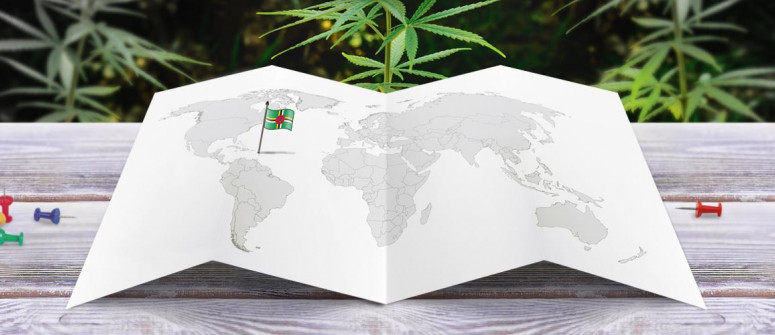 Der Rechtliche Status von Cannabis in Dominica