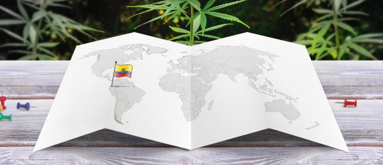 Der Rechtliche Status von Cannabis in Ecuador