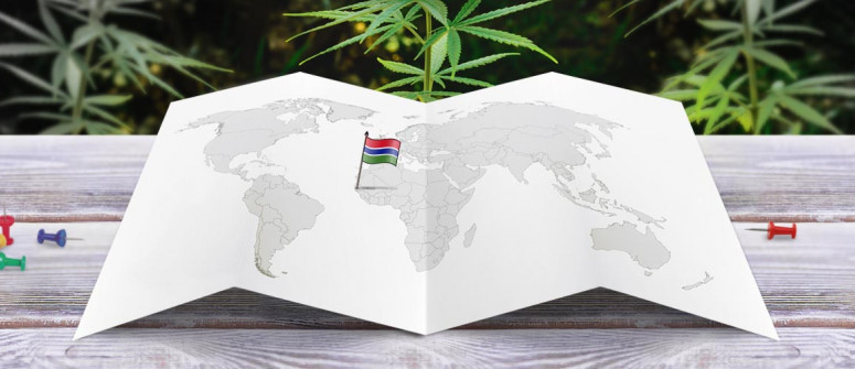 Der Rechtliche Status von Cannabis in Gambia