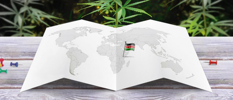 Der Rechtliche Status von Cannabis in Kenia