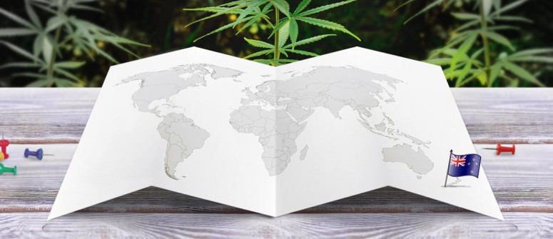 Der Rechtliche Status von Cannabis in Neuseeland