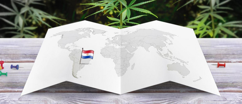 Der rechtliche Status von Cannabis in Paraguay