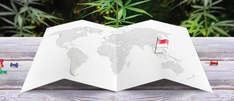 Der Rechtliche Status von Cannabis in Singapur