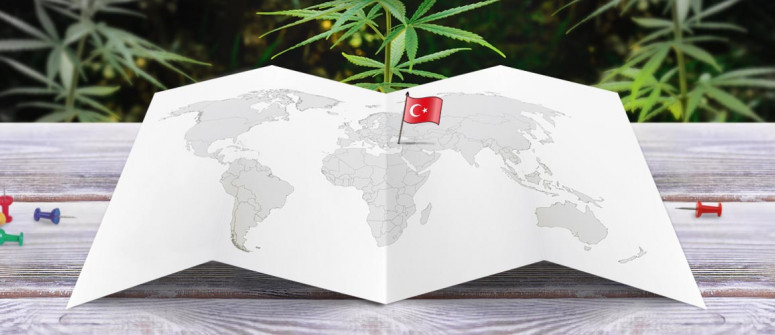 Der rechtliche Status von Cannabis in der Türkei