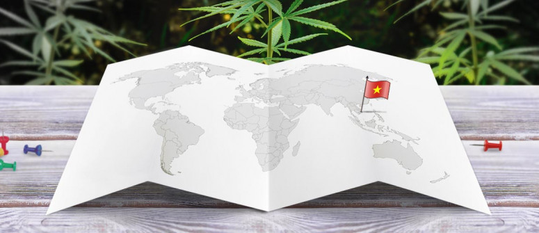 Der rechtliche Status von Cannabis in Vietnam