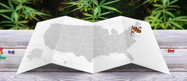 Der rechtliche Status von Cannabis in Maryland