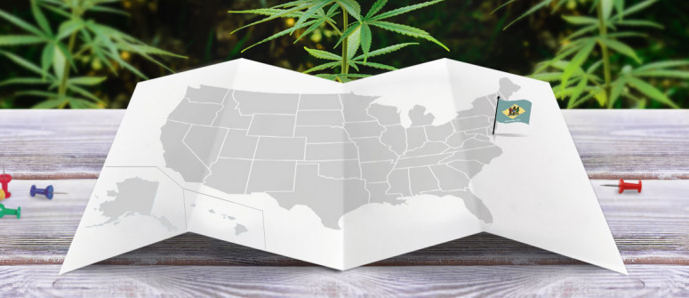 Der rechtliche Status von Cannabis in Delaware
