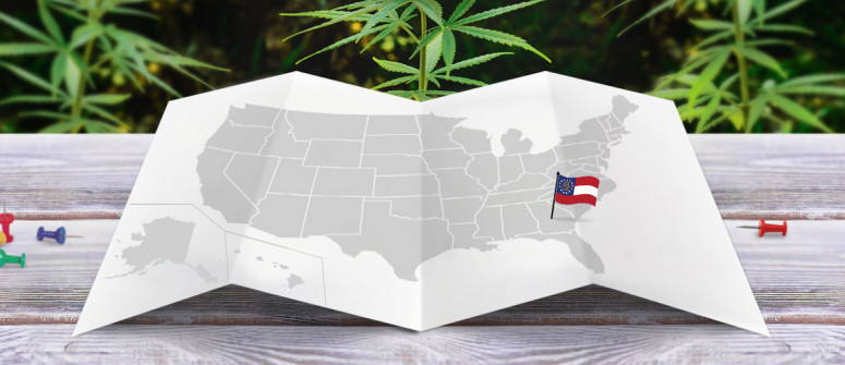 Der rechtliche Status von Cannabis in dem Bundesstaat Georgia