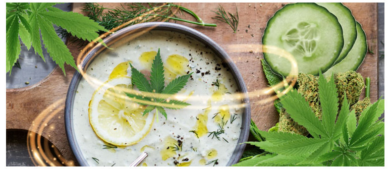 Mit Cannabis angereichertes Tzatziki-Rezept