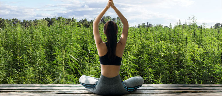 Die Vor- und Nachteile der Kombination von Marihuana und Yoga