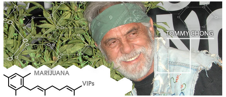 Marihuana-VIP: Tommy Chong