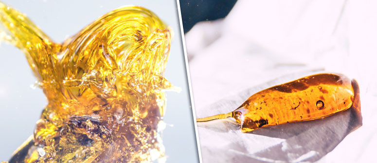 Was ist Cannabis-Wax? Über Herstellung und Sicherheit