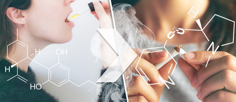 Cannabidiol & Nikotinsucht: Kann CBD helfen, mit dem Tabakrauchen aufzuhören?