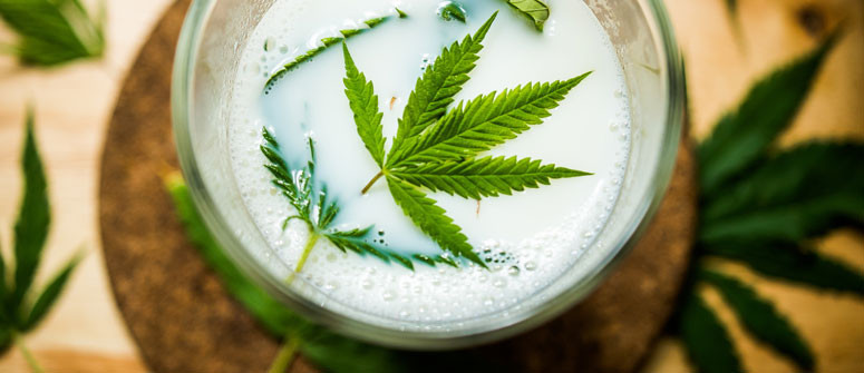 Wie man mit Cannabis versetzte Milch herstellt