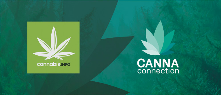 CannaConnection: Die Titelseite der Cannabisbranche