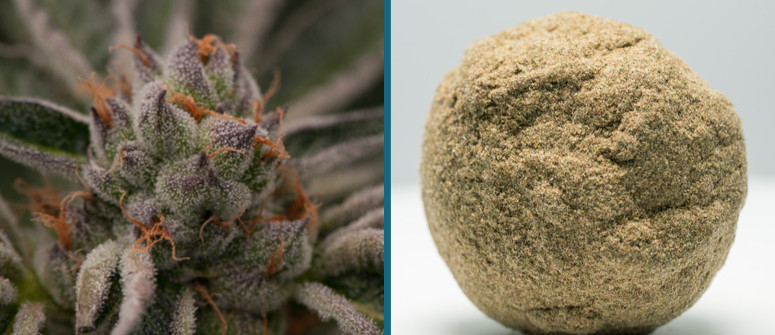 Was ist Bubble Hash? Wie macht man es?