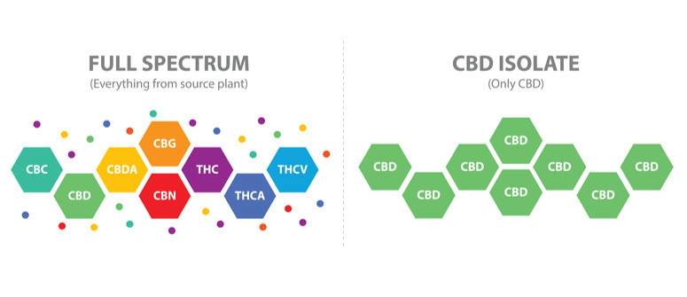 Vollspektrum-CBD-Öl vs. CBD-Isolat: Was ist der Unterschied?