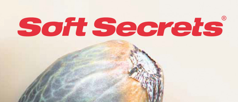 Website-Rezension: Soft Secrets