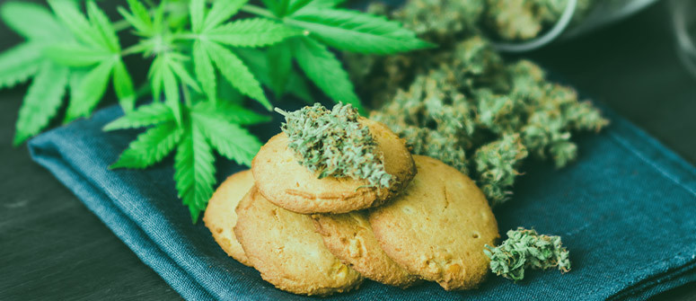 Warum Deine Cannabis-Edibles nicht wirken