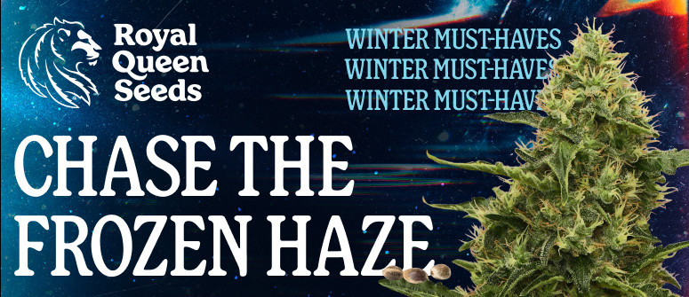 RQS Winter-Essentials