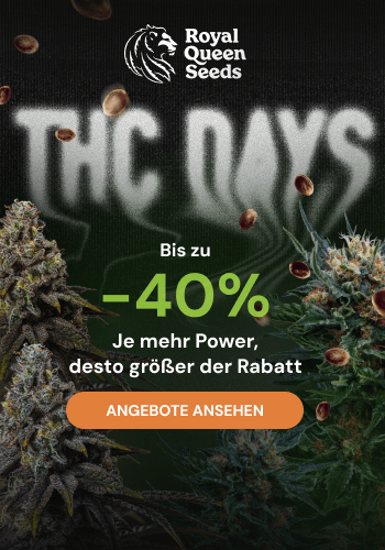 Royal Queen Seeds