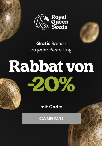Royal Queen Seeds