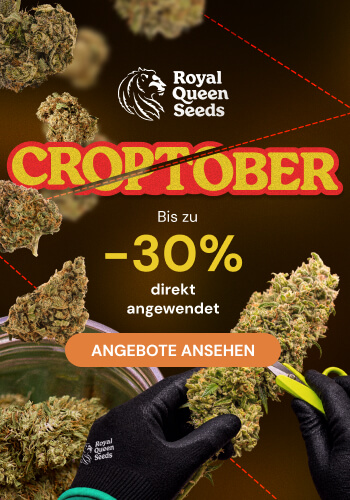 Royal Queen Seeds